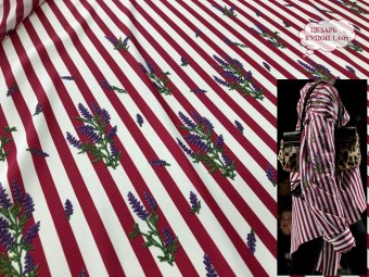 10937в1Цезарь